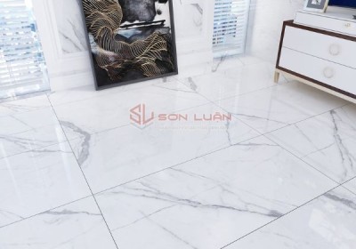 Gạch Ốp Lát APODIO 61181026